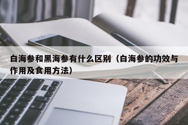 白海参和黑海参有什么区别（白海参的功效与作用及食用方法）