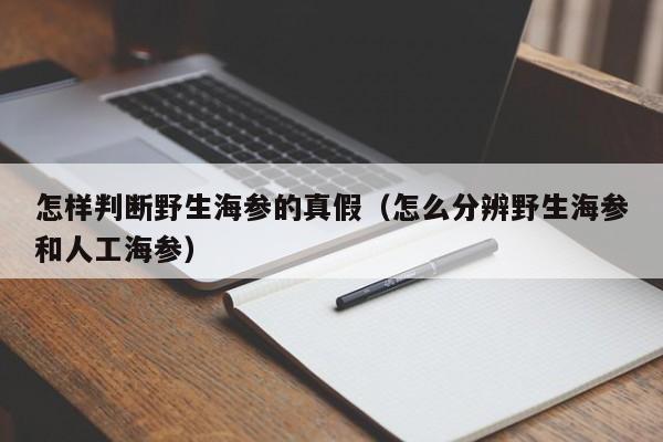 怎样判断野生海参的真假（怎么分辨野生海参和人工海参）