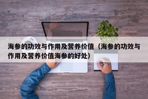 海参的功效与作用及营养价值（海参的功效与作用及营养价值海参的好处）