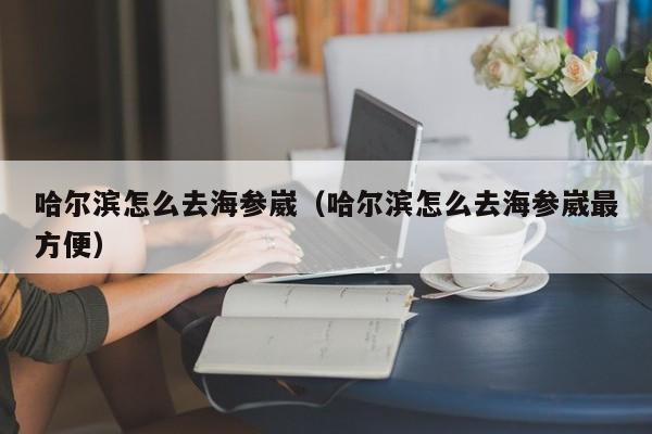 哈尔滨怎么去海参崴（哈尔滨怎么去海参崴最方便）