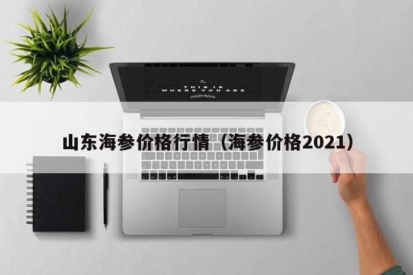 山东海参价格行情（海参价格2021）