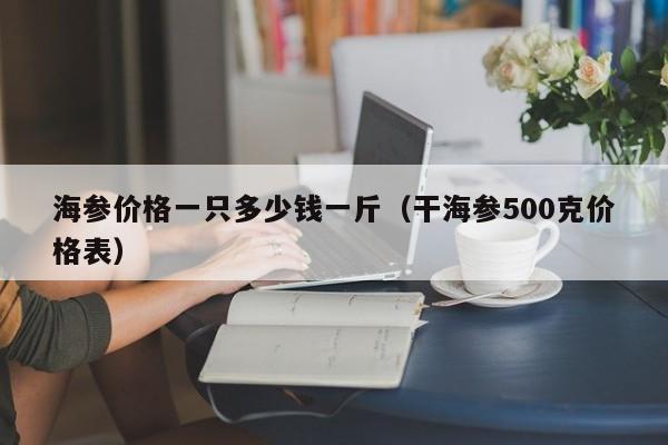 海参价格一只多少钱一斤（干海参500克价格表）