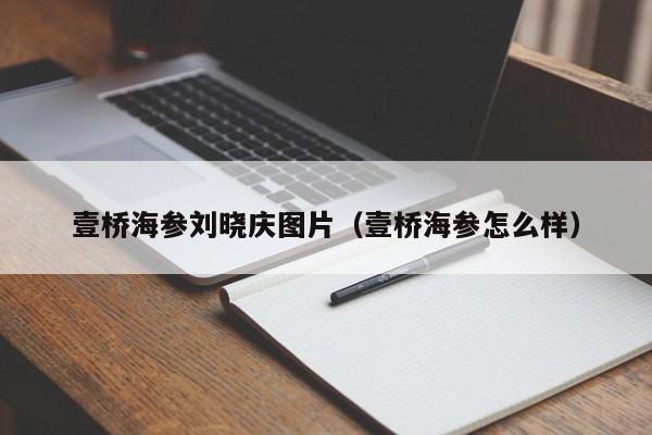 壹桥海参刘晓庆图片（壹桥海参怎么样）