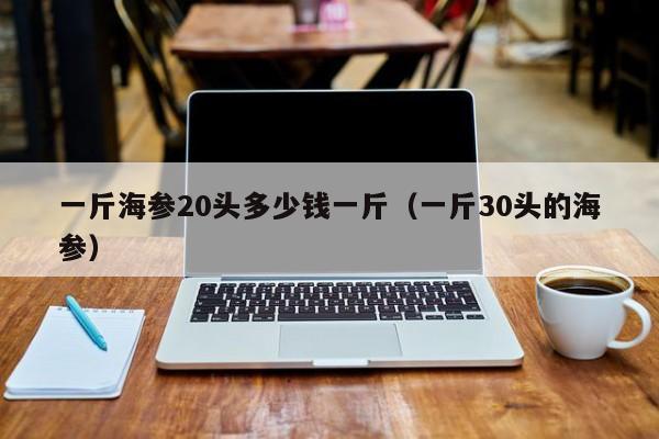 一斤海参20头多少钱一斤（一斤30头的海参）