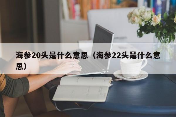 海参20头是什么意思（海参22头是什么意思）