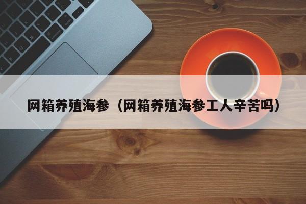 网箱养殖海参（网箱养殖海参工人辛苦吗）