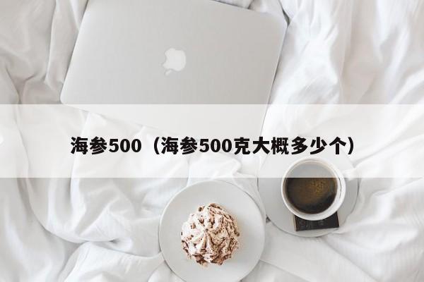 海参500（海参500克大概多少个）