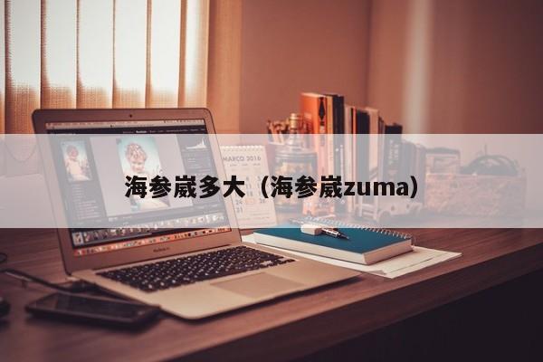 海参崴多大（海参崴zuma）