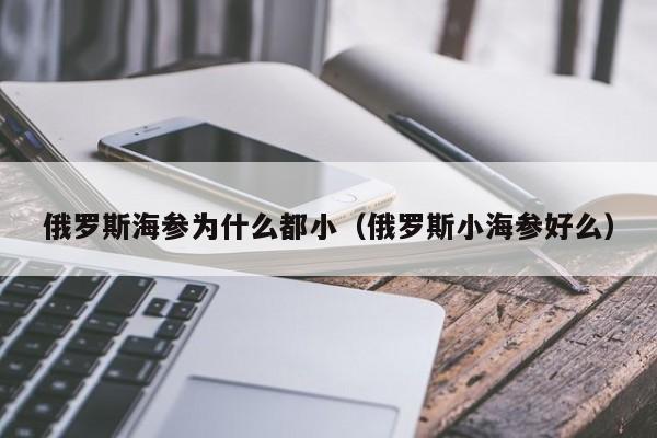 俄罗斯海参为什么都小（俄罗斯小海参好么）