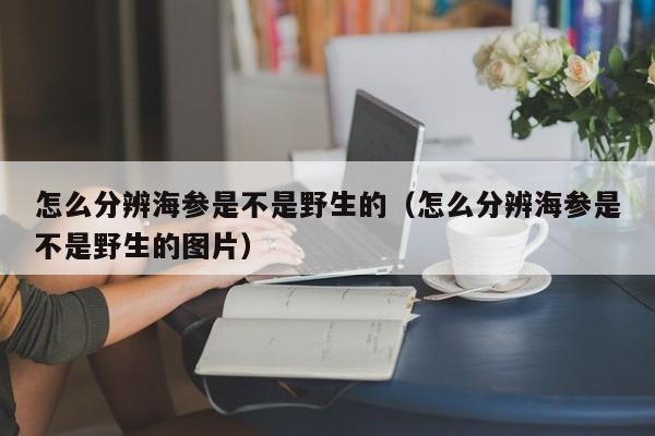 怎么分辨海参是不是野生的（怎么分辨海参是不是野生的图片）