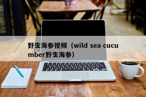 野生海参视频（wild sea cucumber野生海参）