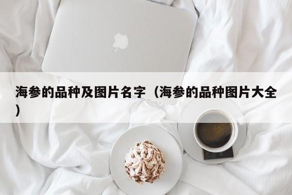 海参的品种及图片名字（海参的品种图片大全）