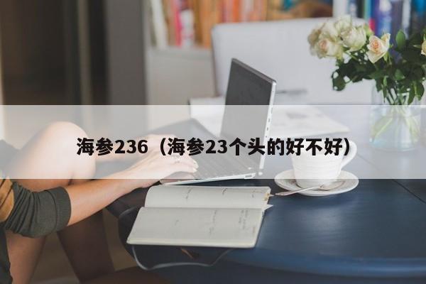 海参236（海参23个头的好不好）