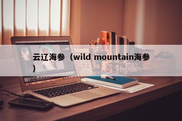 云辽海参（wild mountain海参）