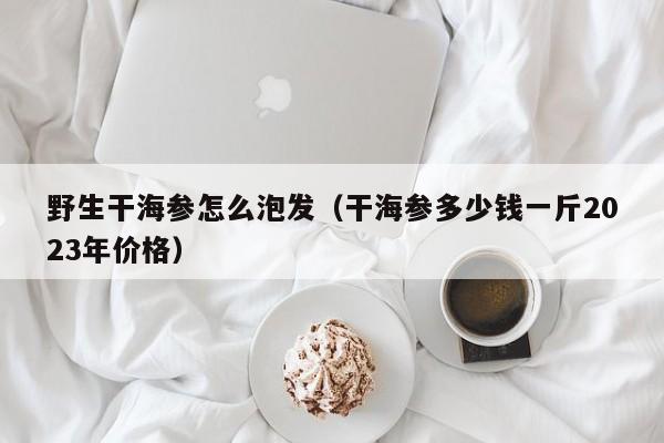 野生干海参怎么泡发（干海参多少钱一斤2023年价格）