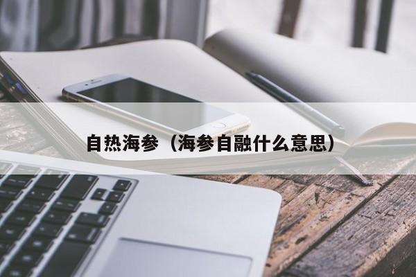 自热海参（海参自融什么意思）