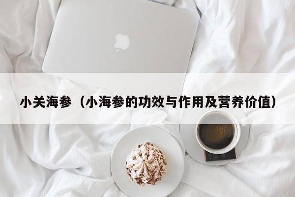 小关海参（小海参的功效与作用及营养价值）